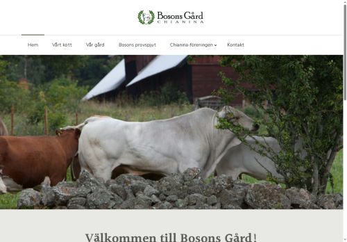 bosonsgard.com capture - 2025-09-30 15:55:24