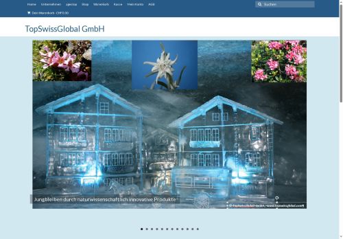 topswissglobal.com capture - 2025-09-30 17:14:24