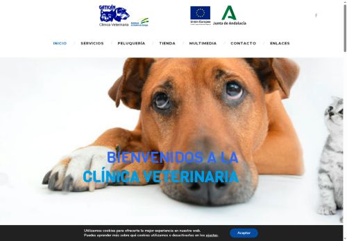 clinicaveterinariagatican.com capture - 2025-09-30 19:42:16