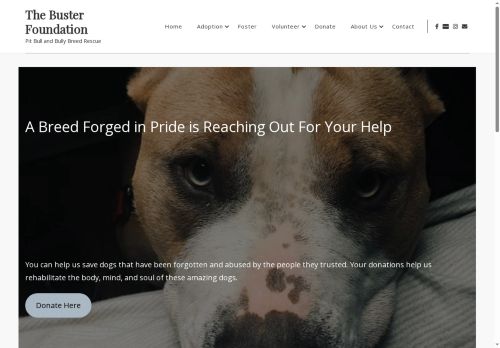 thebusterfoundation.com capture - 2025-09-30 23:37:40