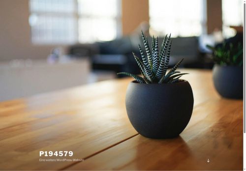 xn--kstenschtzer-dlbh.com capture - 2025-10-01 08:29:47