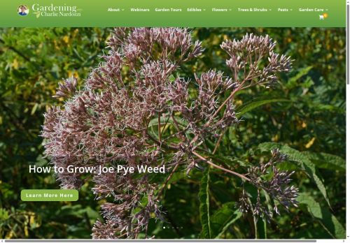 charlienardozzi.com capture - 2025-10-02 00:07:46