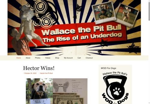 pitbullunited.com capture - 2025-10-02 01:53:45