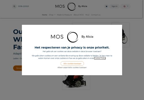 mosbyaliciadegroot.com capture - 2025-10-02 12:56:45