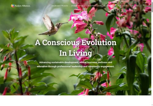 avalonworldcenter.com capture - 2025-10-02 17:45:21