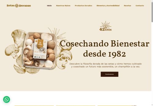 terradorada.com capture - 2025-10-03 11:35:11