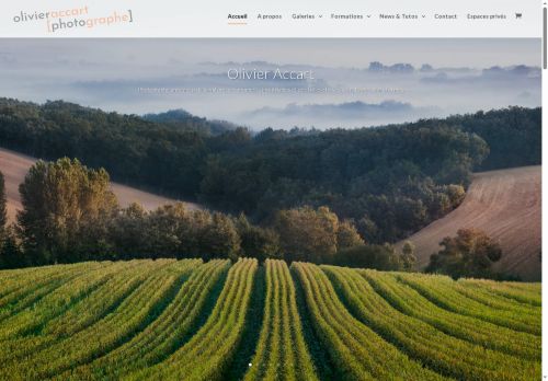 olivieraccart.com capture - 2025-10-03 13:03:54