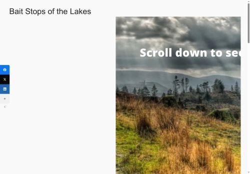 baitstops.com capture - 2025-10-04 12:48:54