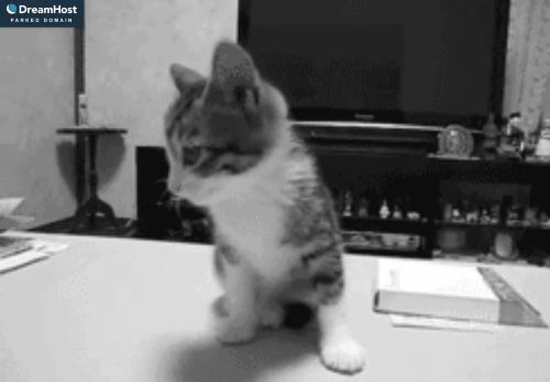 100interets.com capture - 2025-10-04 14:43:11