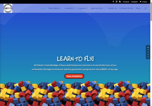 palmersgym.com capture - 2025-10-04 17:11:48