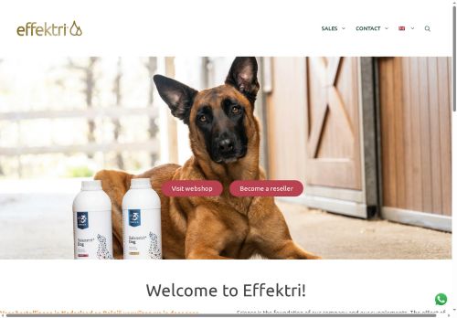 effectri.com capture - 2025-10-04 20:22:34