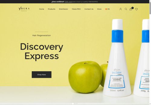 yberaflorida.com capture - 2025-10-04 20:44:43