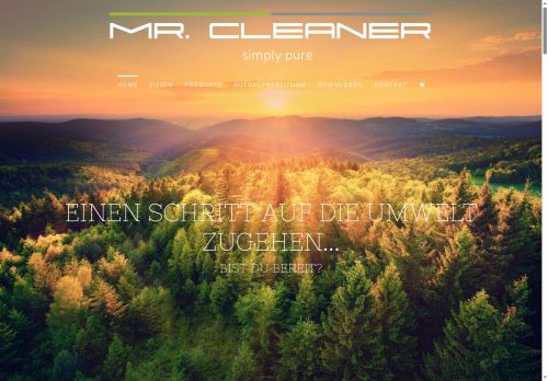 mr-cleaner.com capture - 2025-10-04 21:32:23