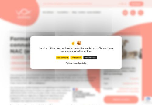 formation-actualisation-des-connaissances.com capture - 2025-10-04 23:30:46