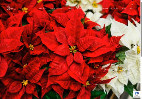 raffyori.com capture - 2025-10-04 23:49:56