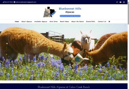 texasalpacas.com capture - 2025-10-05 01:05:35