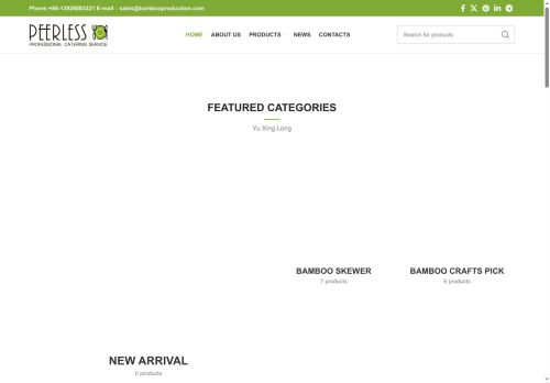 bambooproduction.com capture - 2025-10-05 01:09:38