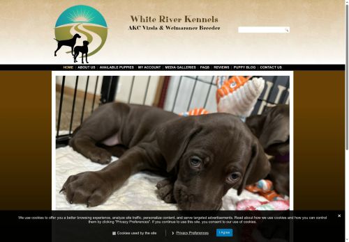 weimaranerpuppyforsale.com capture - 2025-10-05 10:45:37