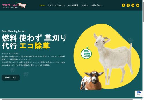 ecoyagi.com capture - 2025-10-05 18:46:36