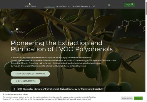 active-italia.com capture - 2025-10-05 20:34:37