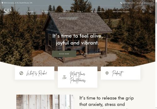 soulpurposereiki.com capture - 2025-10-05 21:27:35