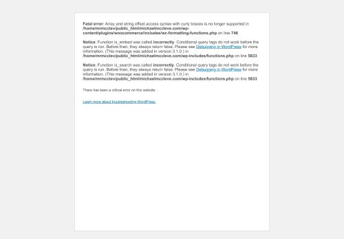 michaelmccleve.com capture - 2025-10-06 06:50:30