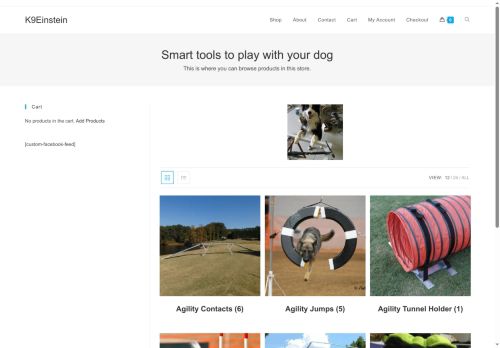 k9stein.com capture - 2025-10-06 06:51:28