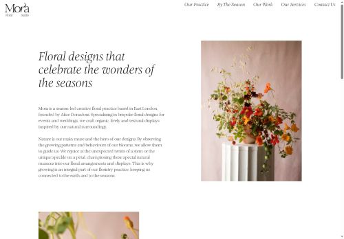 alicedonadoni.com capture - 2025-10-06 09:06:29