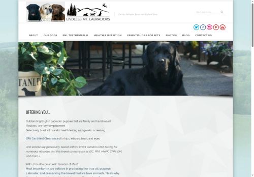 endlessmountainlabradors.com capture - 2025-10-06 16:19:56