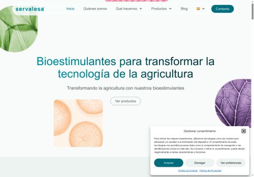 servalesaelsalvador.com capture - 2025-10-07 01:05:27