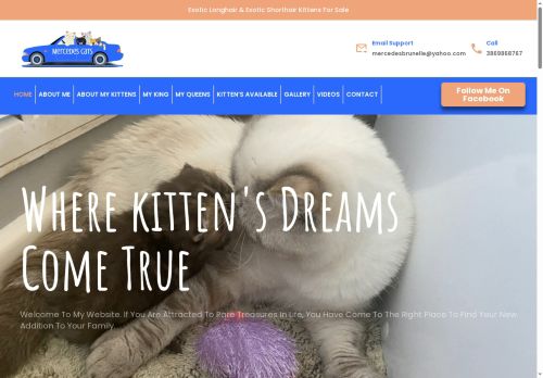 mercedescats.com capture - 2025-10-07 02:55:19