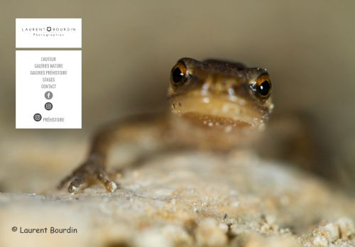 bourdinphoto.com capture - 2025-10-07 04:59:57