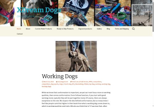 xdreamthreads.com capture - 2025-10-07 10:53:30