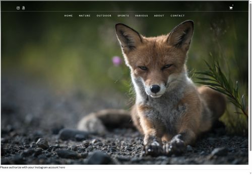 angelobrack.com capture - 2025-10-07 23:29:22