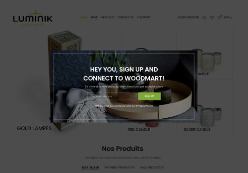 polecreation.com capture - 2025-10-07 23:45:56