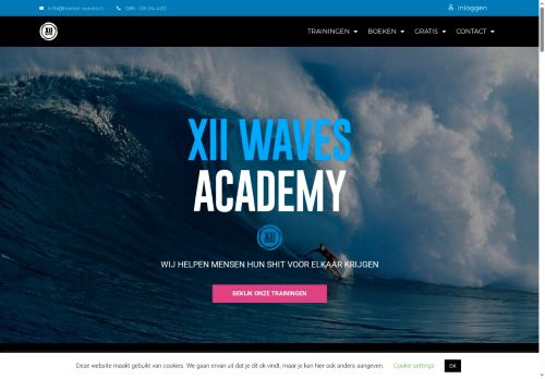 12waves.com capture - 2025-10-08 00:59:01