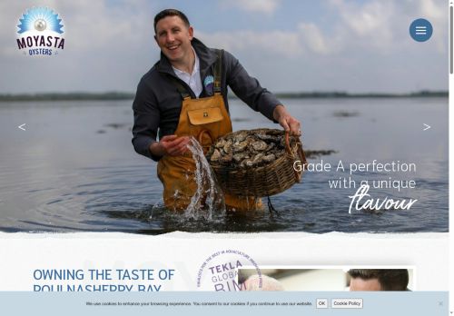 moyastaoysters.com capture - 2025-10-08 01:02:46