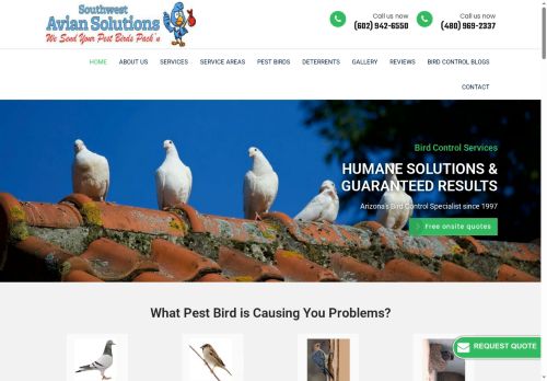 thepigeonman.com capture - 2025-10-08 01:48:07