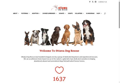 ottawadogrescue.com capture - 2025-10-08 06:26:18