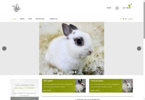 thairabbit.com capture - 2025-10-08 10:27:54