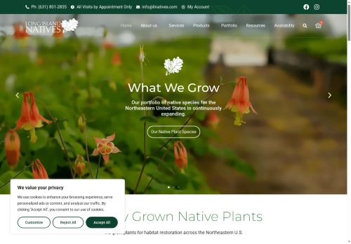 linatives.com capture - 2025-10-08 15:27:03