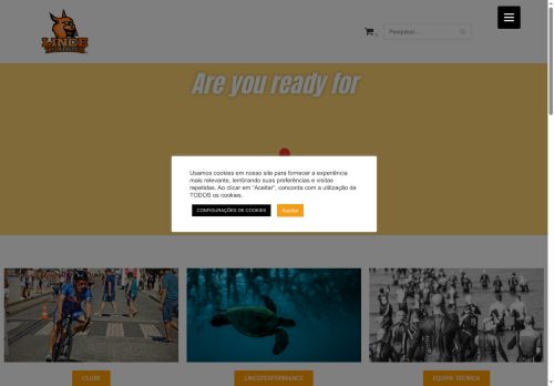 lincetriathlon.com capture - 2025-10-08 16:48:19