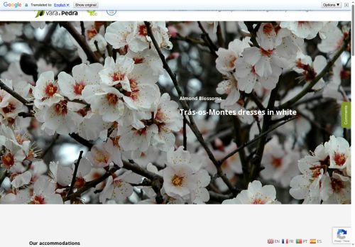 lagaresdevaraepedra.com capture - 2025-10-08 19:06:02