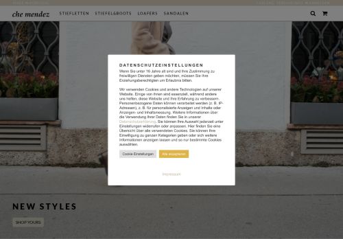 chemendez.com capture - 2025-10-08 20:59:55