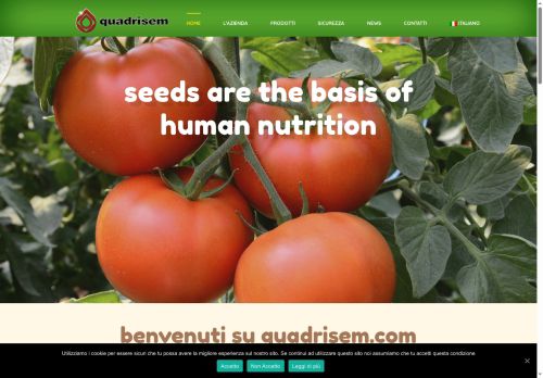 quadrisem.com capture - 2025-10-09 07:06:04