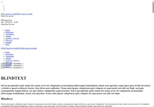 bns-icon.com capture - 2025-10-09 08:50:56