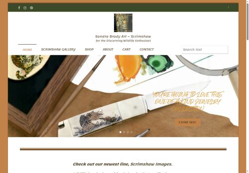 sandrabradyart.com capture - 2025-10-09 11:00:52