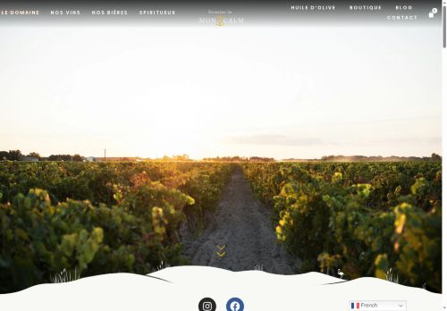 vinsaop.com capture - 2025-10-09 18:46:07