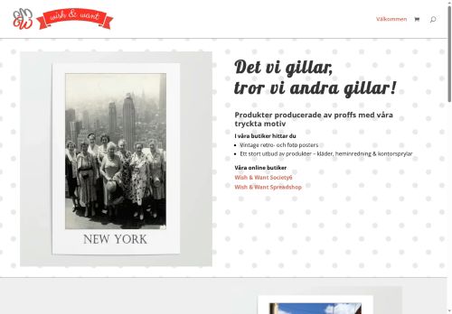 wishandwant.com capture - 2025-10-09 19:16:55