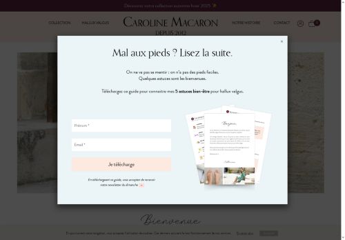 chaussureshalluxvalgus.com capture - 2025-10-10 01:21:34